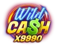 Wild Cash X9990 Slot